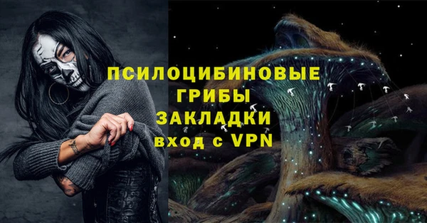 твердый Нязепетровск