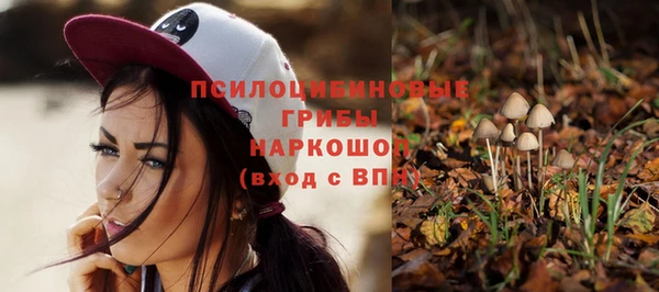 твердый Нязепетровск