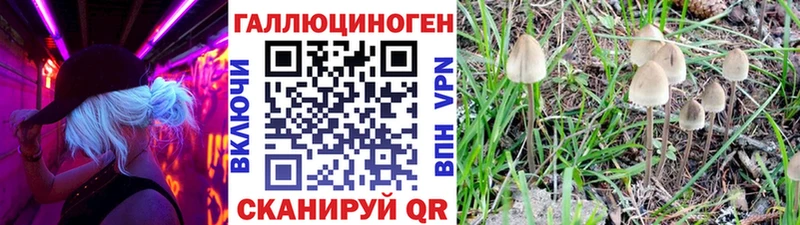 Галлюциногенные грибы MAGIC MUSHROOMS  Нюрба 
